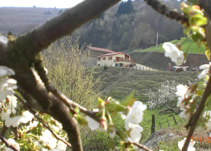 Le Mirador *